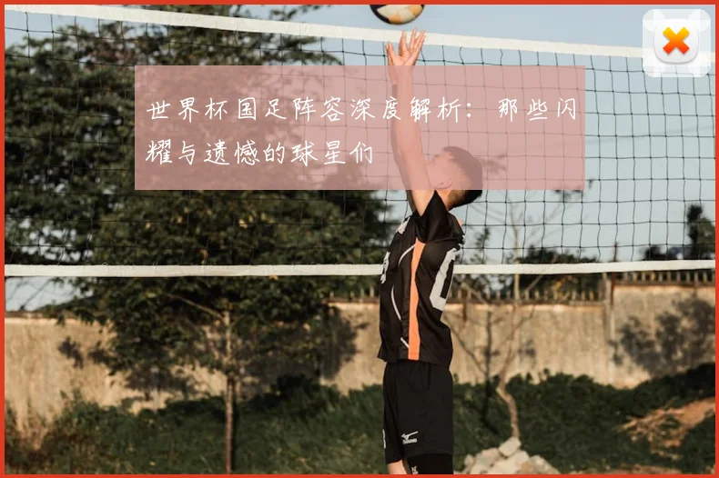 世界杯国足阵容深度解析：那些闪耀与遗憾的球星们