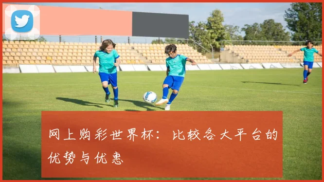 网上购彩世界杯：比较各大平台的优势与优惠