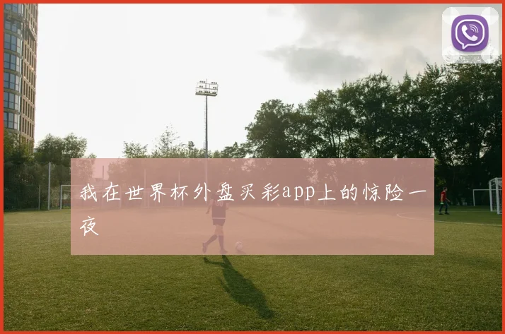 我在世界杯外盘买彩app上的惊险一夜