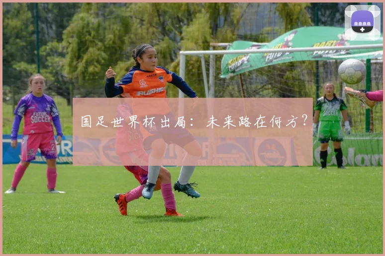 国足世界杯出局：未来路在何方？