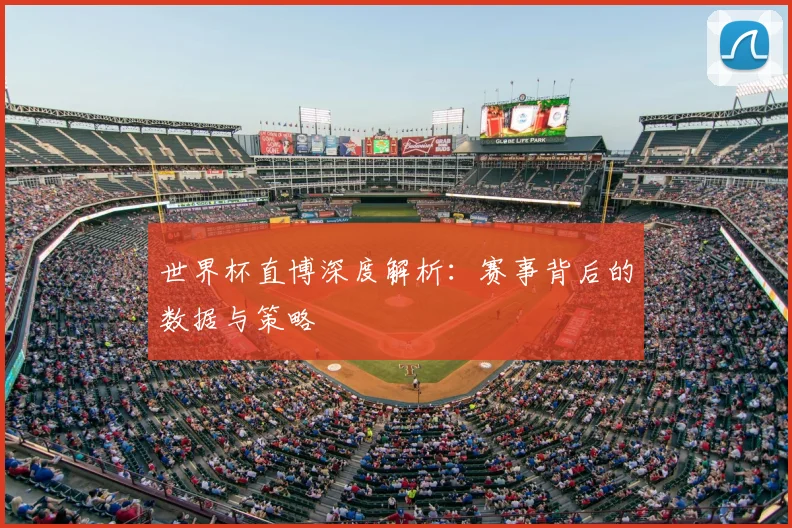 世界杯直博深度解析：赛事背后的数据与策略