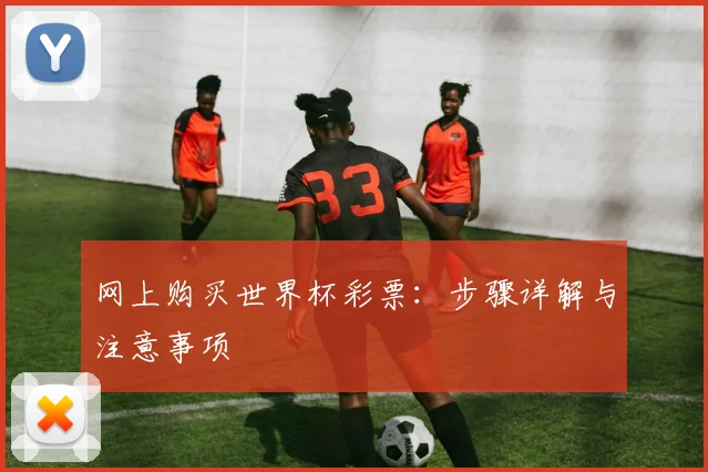 网上购买世界杯彩票：步骤详解与注意事项