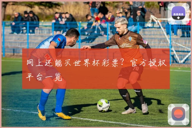 网上还能买世界杯彩票？官方授权平台一览