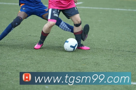 九游j9官方入口平台生态图