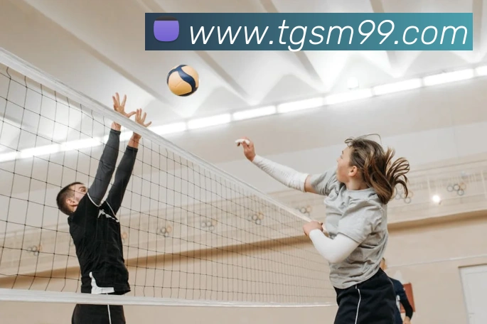 九游j9官方入口全站App